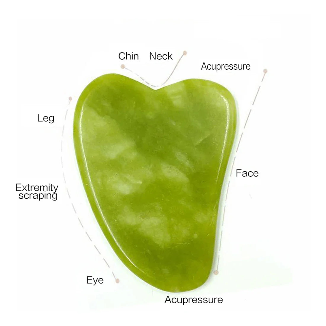 Roller & Gua Sha – Circulation, glow & massage facial efficace